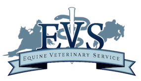 Equine Veterinary Service