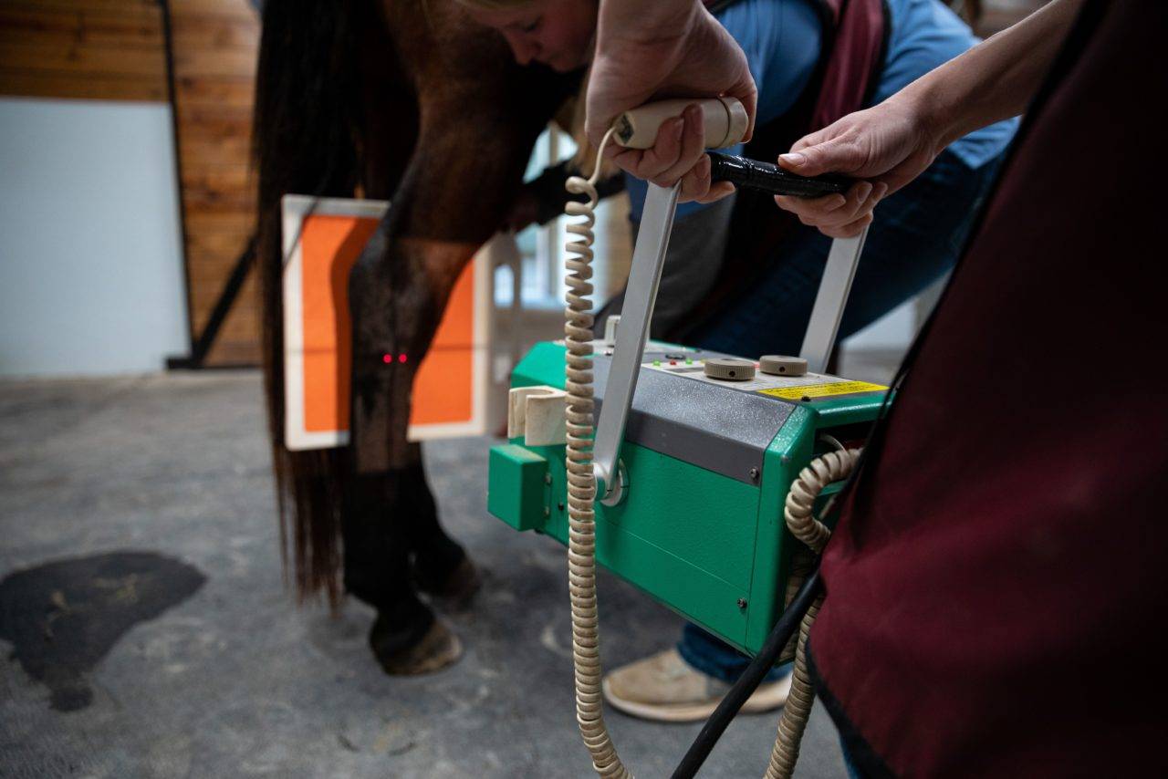 Emergency Services Equine Veterinary Service