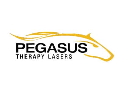Pegasus-Profile-Logo
