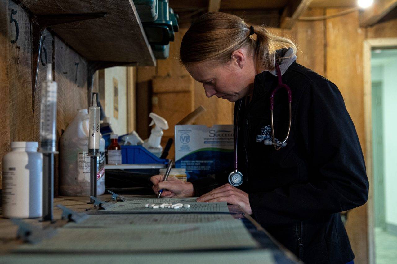 Surgery Equine Veterinary Service